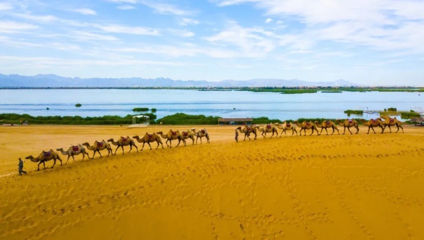 img, 西夏王陵 img, 西夏王陵