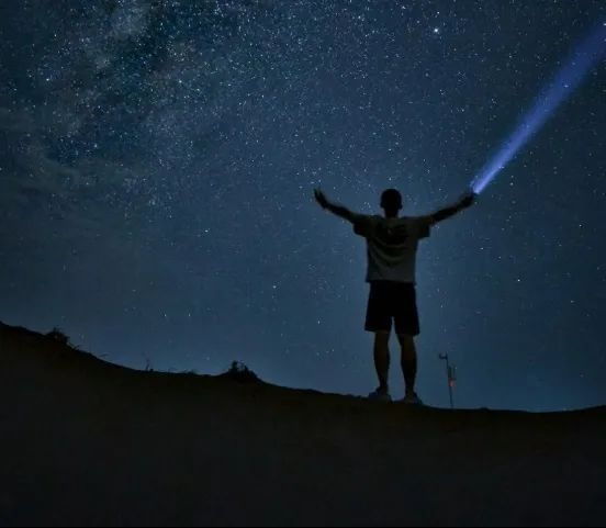 西夏陵作为, 西夏王陵, 被誉为 西夏陵作为, 西夏王陵, 被誉为