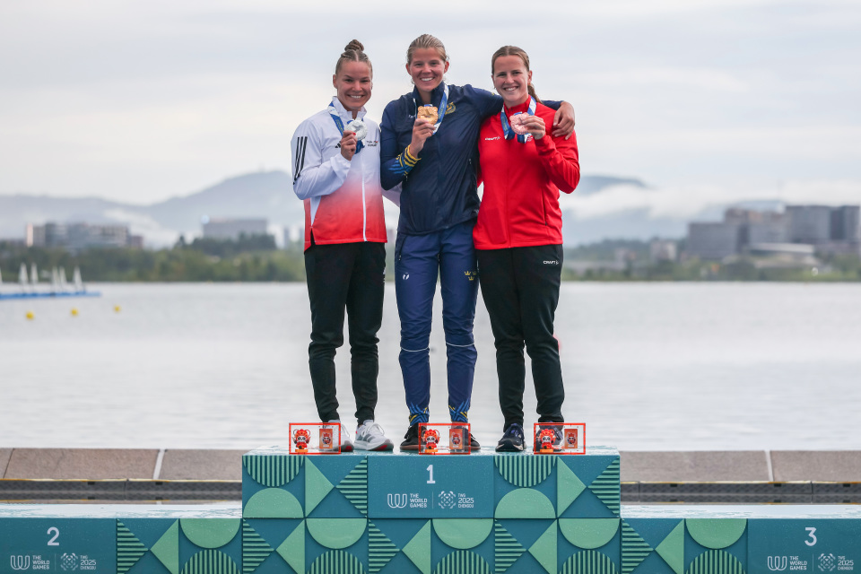 新华社记者, qSl