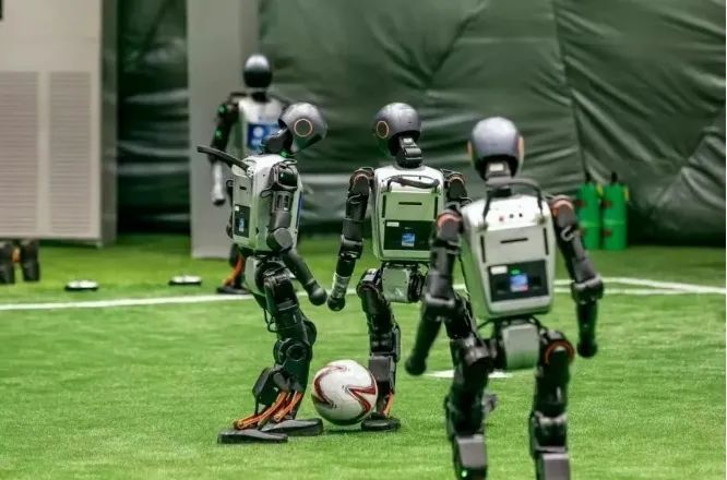 它们会根据, 组成