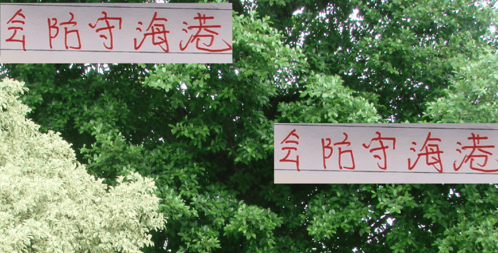 倒是怕成都, 轮比赛, 球队