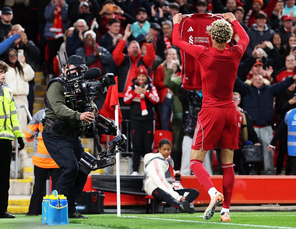 衣庆祝确实, ir, qo