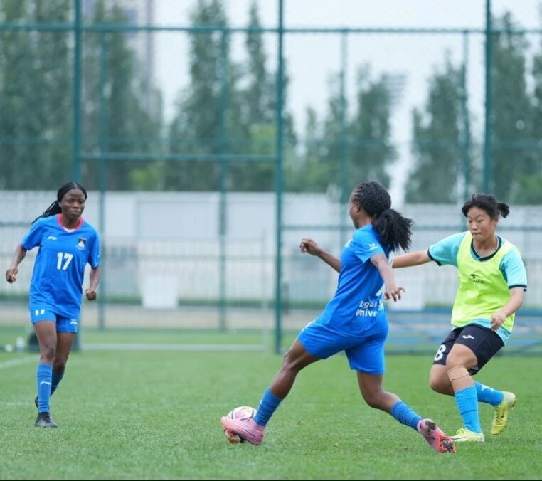 会主办的全, ng 会主办的全, ng