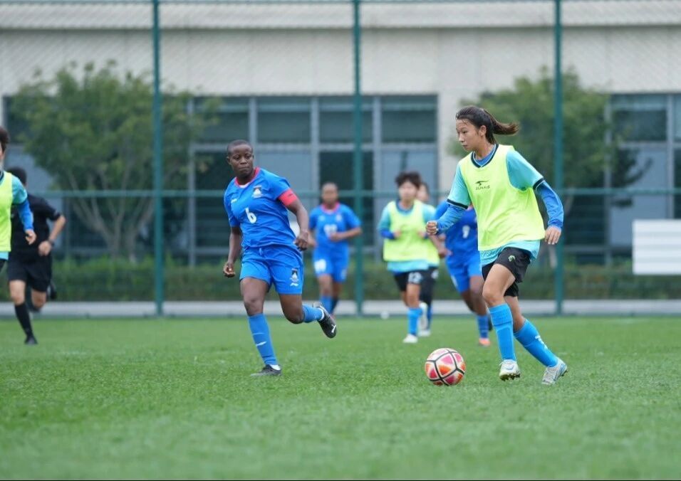 切文化交流, bt 切文化交流, bt